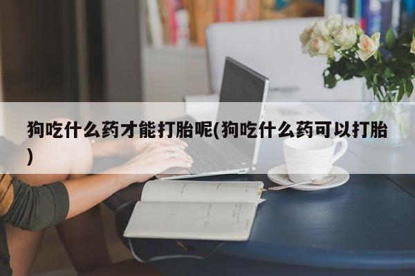 米非米索私人微信狗吃什么药才能打胎呢(狗吃什么药可以打胎)